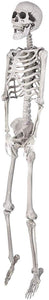 5ft Life Size Posable Full Body Skeleton Prop for Halloween Party (5ft Skeleton)