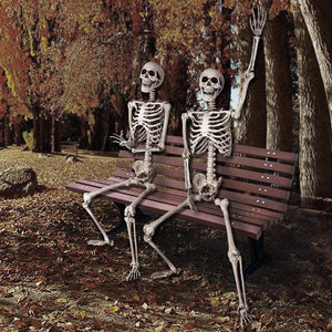 5ft Life Size Posable Full Body Skeleton Prop for Halloween Party (5ft Skeleton)
