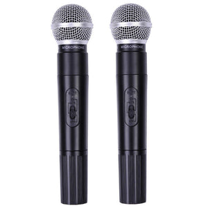 Dual Wireless Microphone System