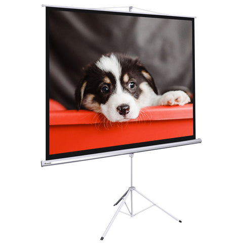 Image of 100" Projector Screen with Stand