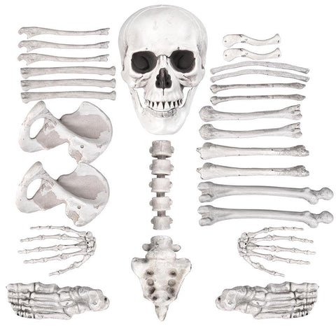 Bag of Bones (28pc)