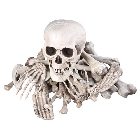 Image of Bag of Bones (28pc)