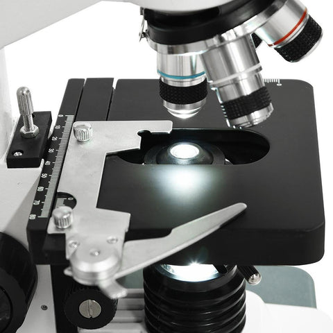 Image of Compound Microscope (40x - 2500x)