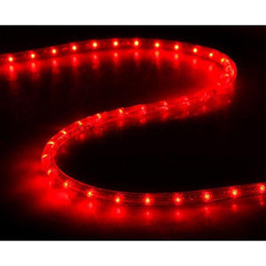 DELight Holiday Lighting LED Rope Light Spool 150ft – Red