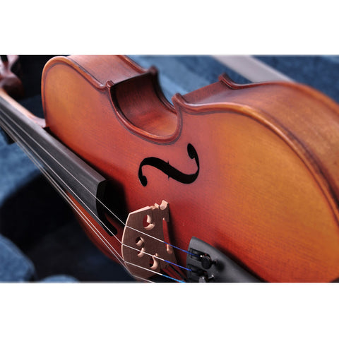 Image of Maple Wood Violin Kit